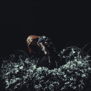 Image for 'THE END'