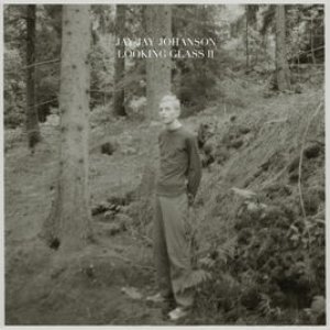 'Looking Glass, Vol. 2 (Bury the Hatchet Bonus Album)'の画像