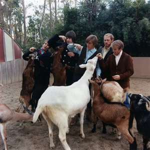 Immagine per 'The Beach Boys'