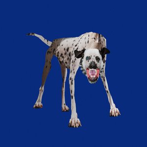 Image for 'mosca'