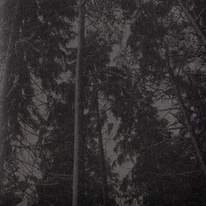 Изображение для 'Vaakevandring'