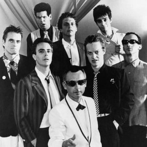 'Oingo Boingo'の画像