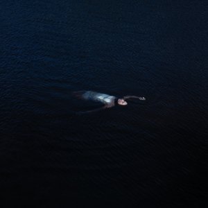 Image for 'Paradise'