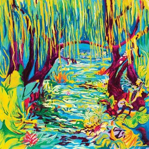 Image for 'JUNGLE DES ILLUSIONS VOL 2'