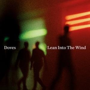 Image for 'Lean Into The Wind'