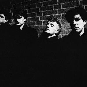 Image for 'Art Boulevard'