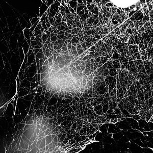 Image for 'Haematophoryktos (Album)'