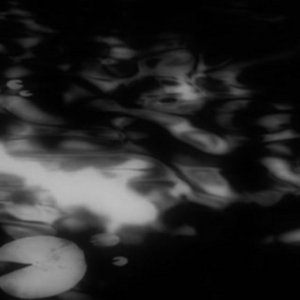 Image for 'BREEZEFORE'