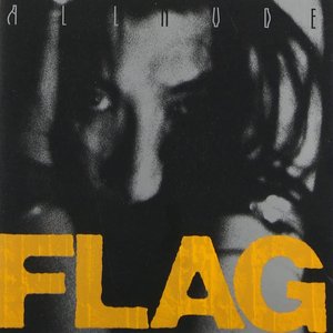Bild för 'Flag'