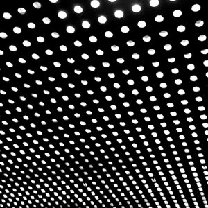Image for 'Bloom'