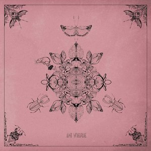 Image for 'In Vere'
