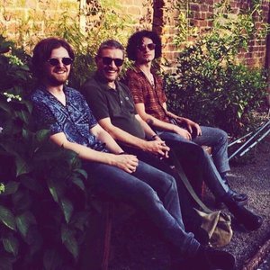 Zdjęcia dla 'Michael Head & The Red Elastic Band'