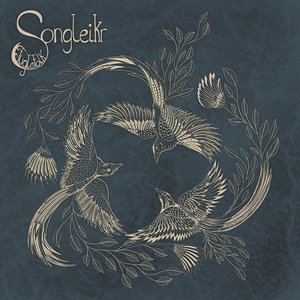 Image for 'Fuglefolk'