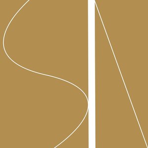 Image for 'Nerve Plexus'