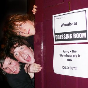 Image for 'The Wombats'