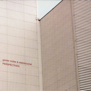 Image for 'Perspectives'