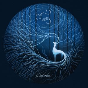 Image for 'Wilderness'