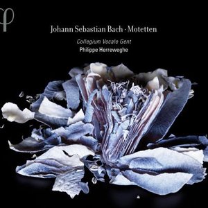 'Bach: Motetten' için resim