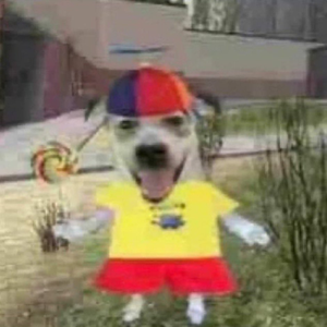 Lucho0208