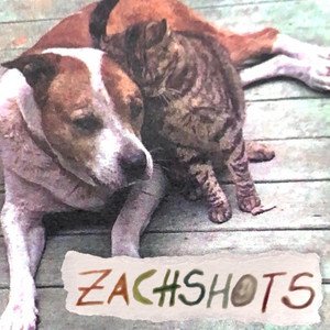 Image for 'Zachshots'