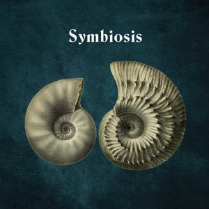 Image for 'Symbiosis'