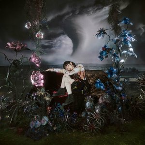 Image for 'Cloud Cuckoo Land'