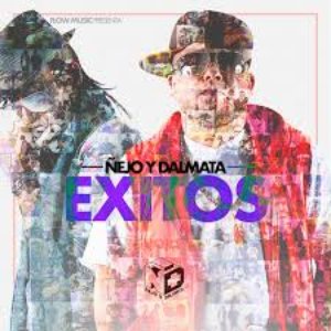 Immagine per 'Exitos'