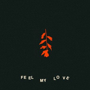 'Feel My Love' için resim
