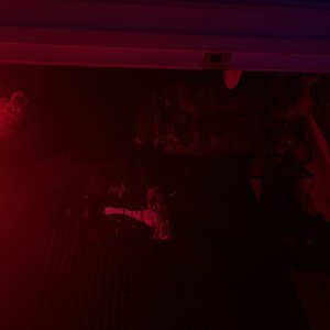 Zdjęcia dla 'Dezonglo'