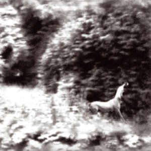 Image for 'Ghost days (nouvelle edition)'