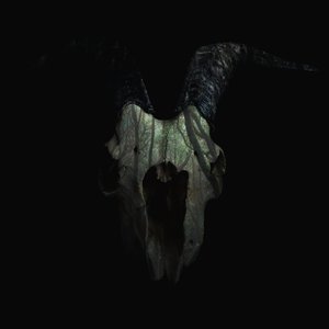 Image for 'TECHNO-SHAMAN'