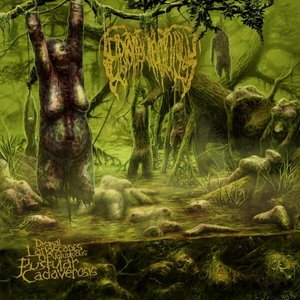 Image for 'Dismal Landscapes of Voluptuous Pustular Cadaverosis'