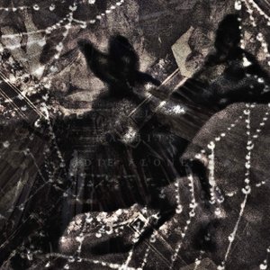 Image for 'All rabbits Die Alone'