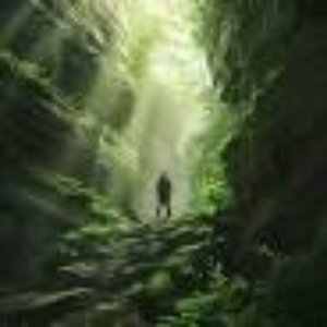 Image for 'Celtic Traveler'