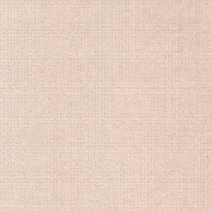 Imagen de 'mezzotint'