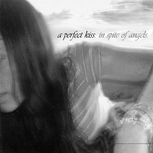 Image for 'In Spite Of Angels'