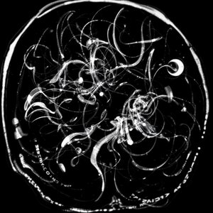 Image for 'O Gênio e o Louco “Entre o Céu e a Terra“'