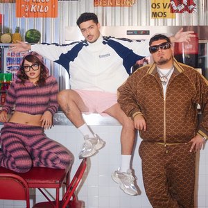 Image for 'TÍMIDA, SANTA Y PELIGROSA'
