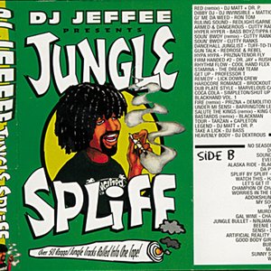 Image for 'Jungle Spliff'