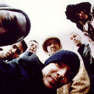 Image for 'The Herbaliser Band'