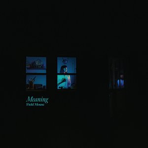Image for 'Meaning'