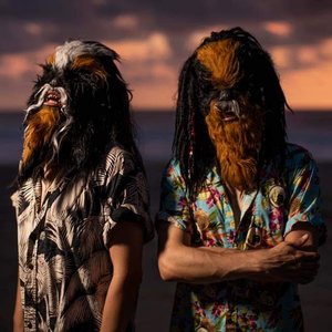 Image for 'The Wookies'