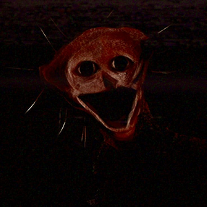 cursedanomaly