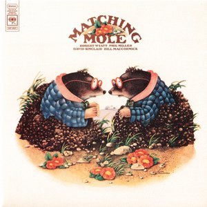Bild für 'Matching Mole'