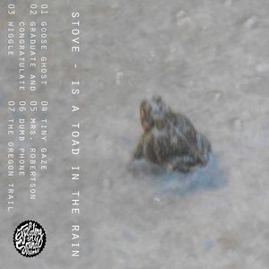 Bild für 'Is A Toad In The Rain'