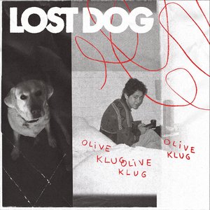 Image for 'Lost Dog'