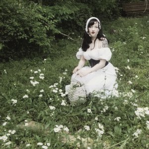 “dollie rot”的封面