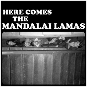 Immagine per 'Here Comes the Mandalai Lamas'