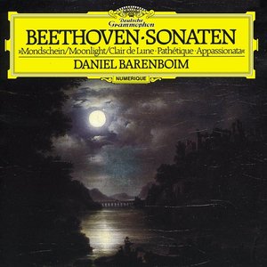 'Beethoven: The Piano Sonatas' için resim