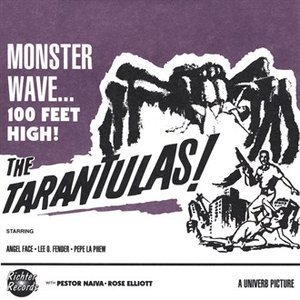 'Monster Wave 100 Feet High (Like Dick Dale, Ventures, etc.)'の画像
